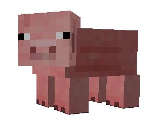 Minecraft domuz
